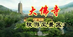 免费黄色草逼视频中国浙江-新昌大佛寺旅游风景区